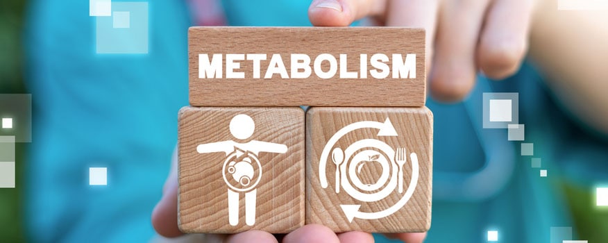 Healthy Metabolism Tampa, Florida
